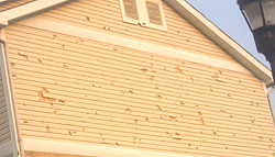 Siding Repair Services & Hail Damage Repair in Missouri