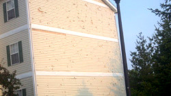 Siding Repair Services in Missouri